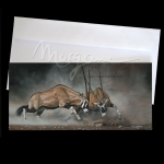 Fencing in the Dust Postcard