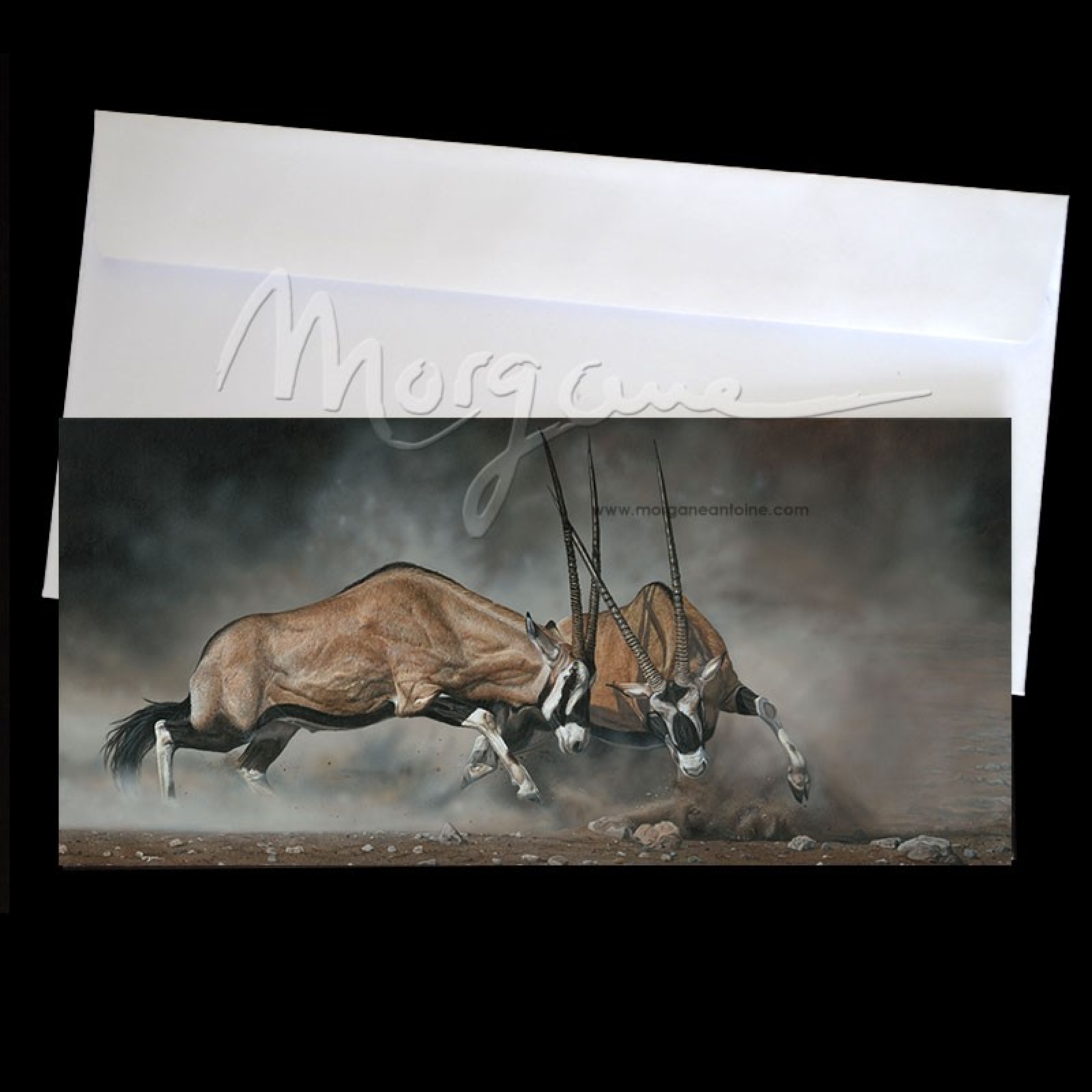 Fencing in the Dust Postcard