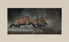 Fencing in the Dust Open Edition