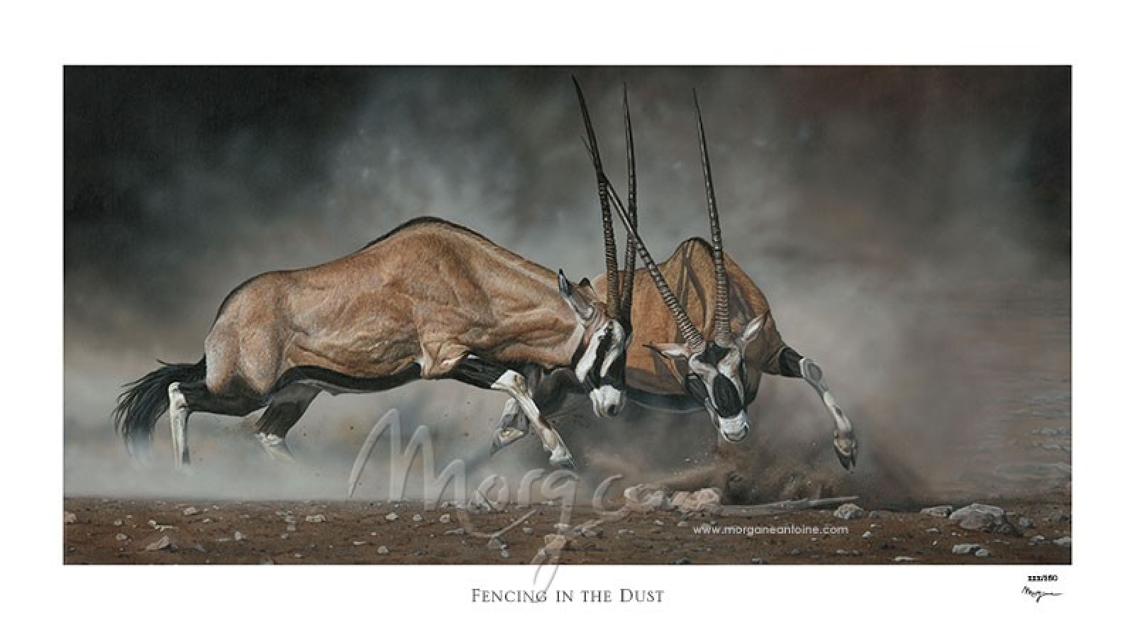 Fencing in the Dust Limited Edition