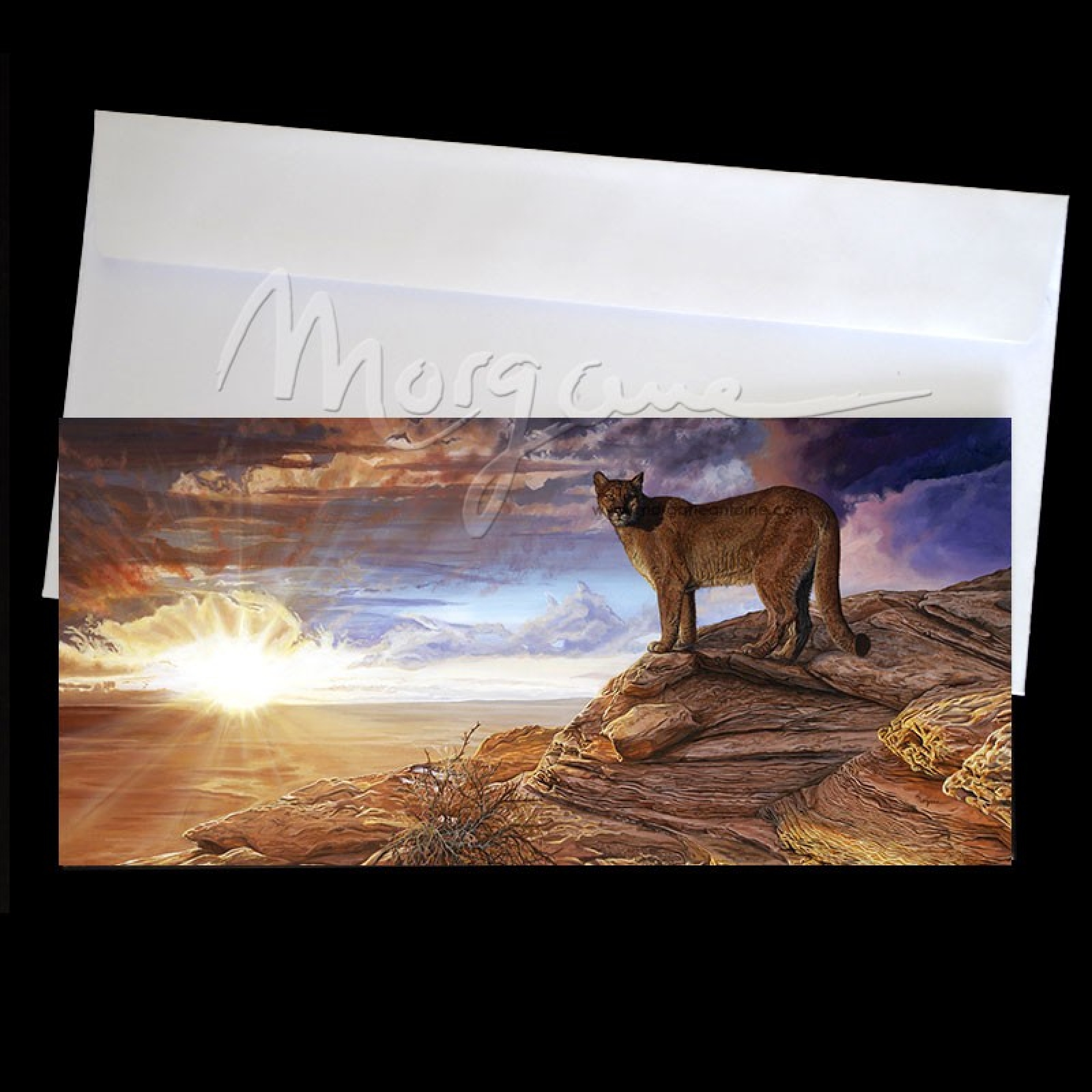 Fire in the Sky Postcard