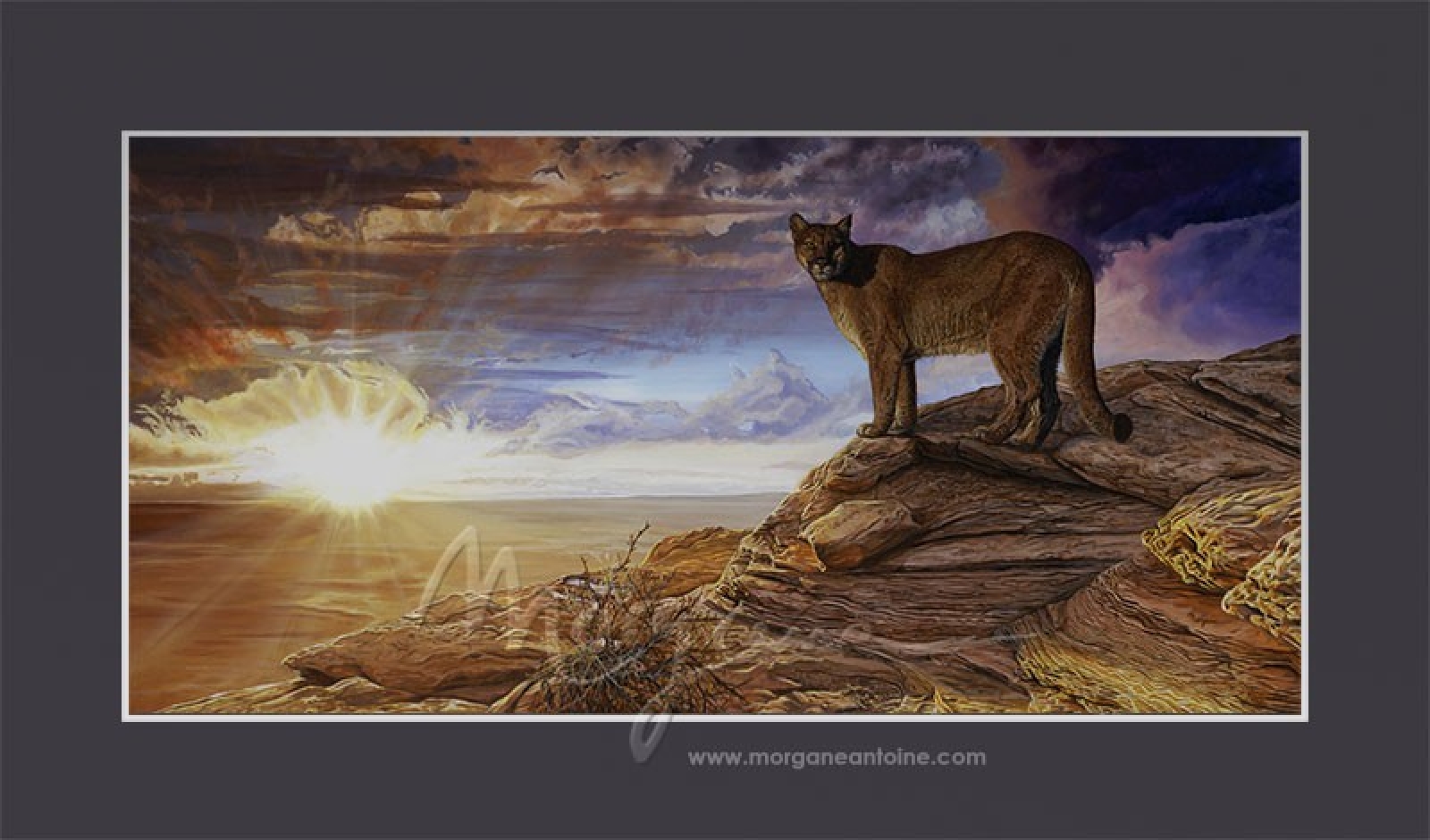 Fire in the Sky Open Edition