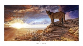 Fire in the Sky Limited Edition