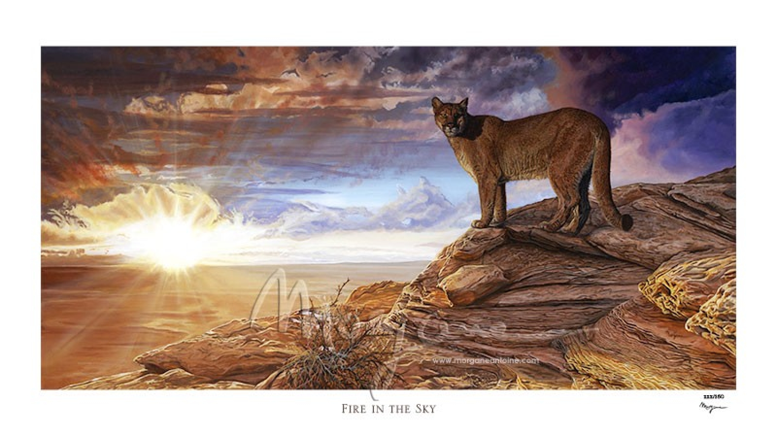 Fire in the Sky Edition Limitée