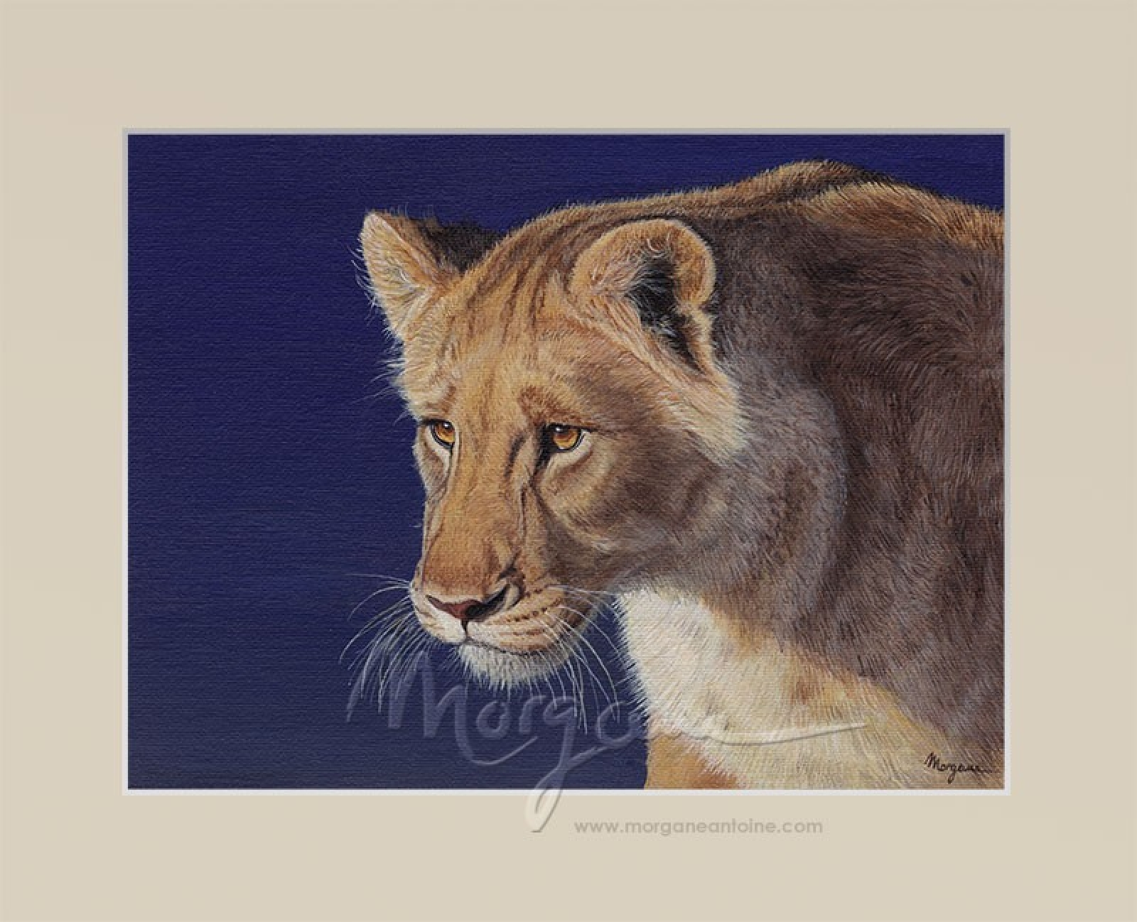 Golden Beauty Open Edition