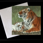 Hey Mom Wake Up!  Postcard