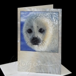 Innocence Greeting Card