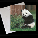 Sweet Bamboo Postcard