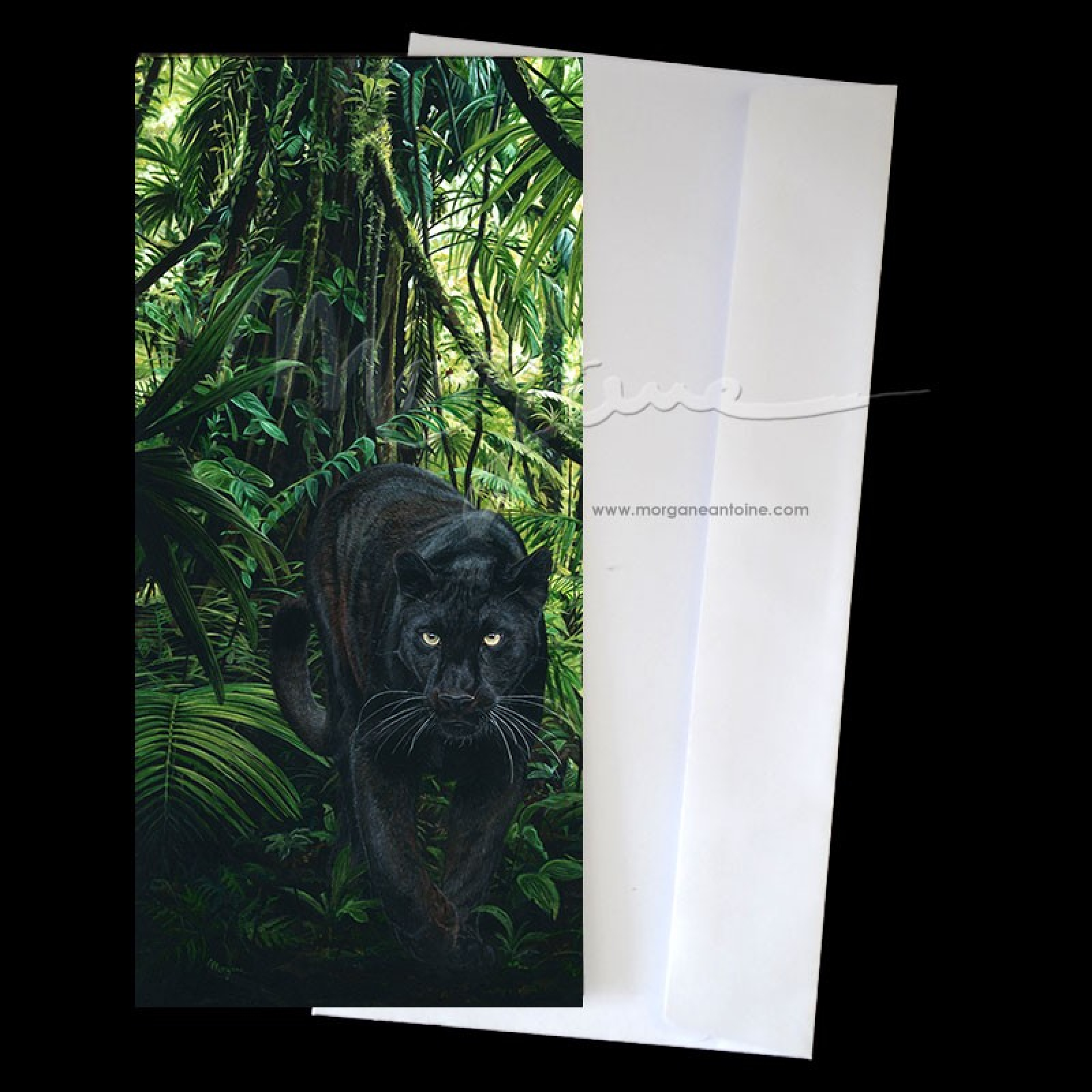 Jungle Ghost Postcard
