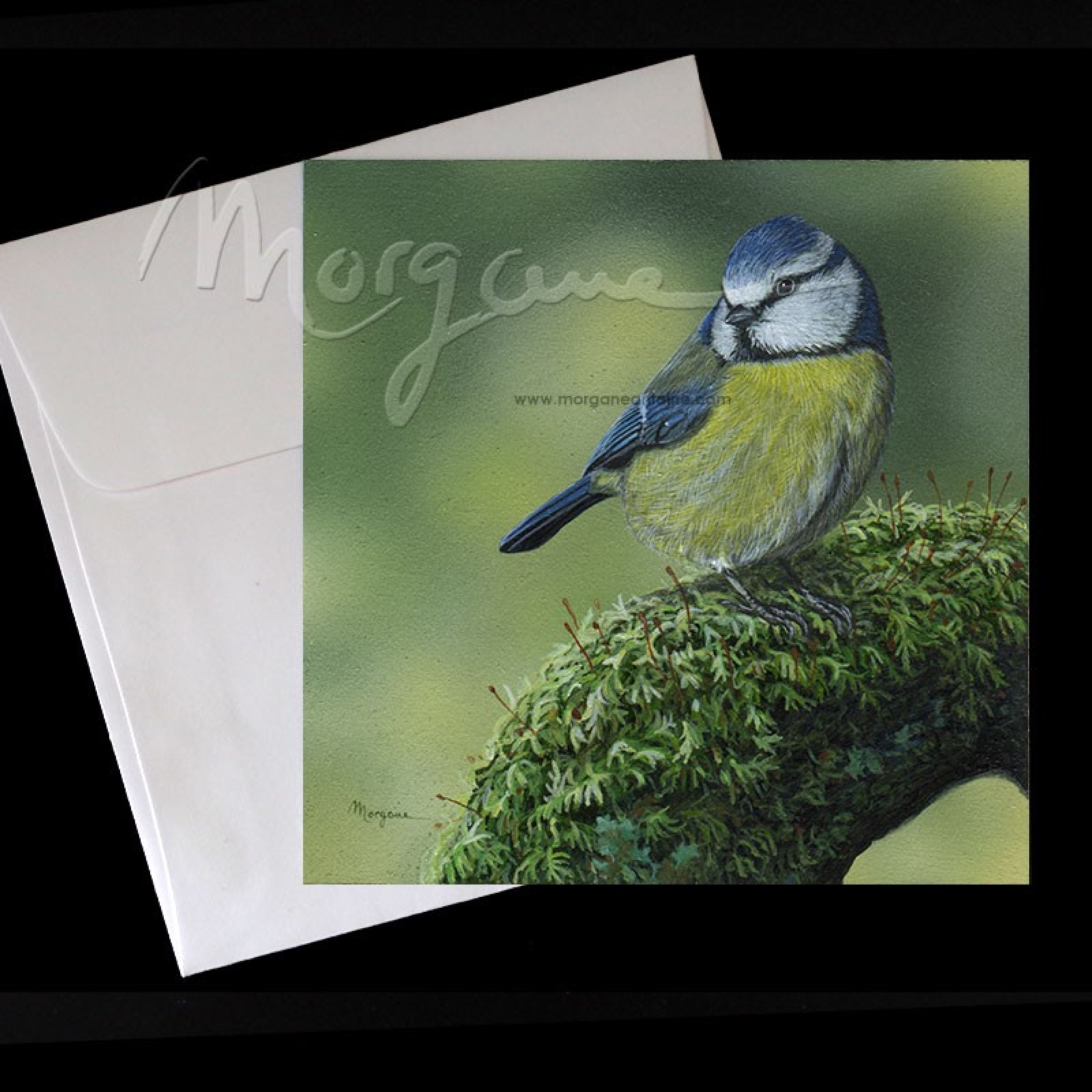 Little Birdie Postcard