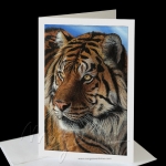 Mesmerizing Greeting Card