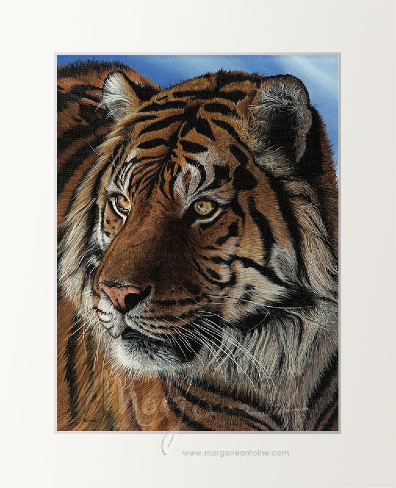 Mesmerizing Open Edition