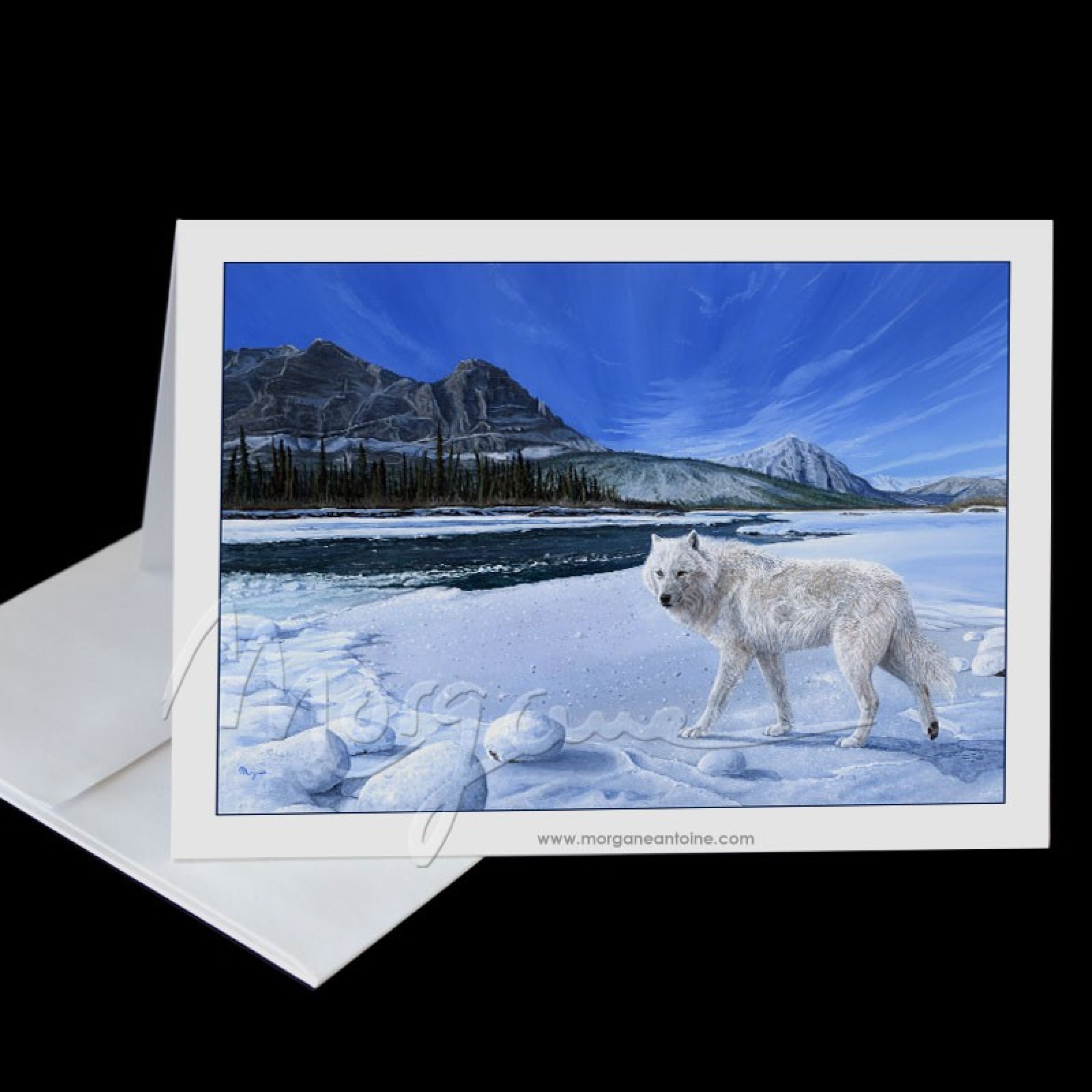 Morning Patrol Greeting Card