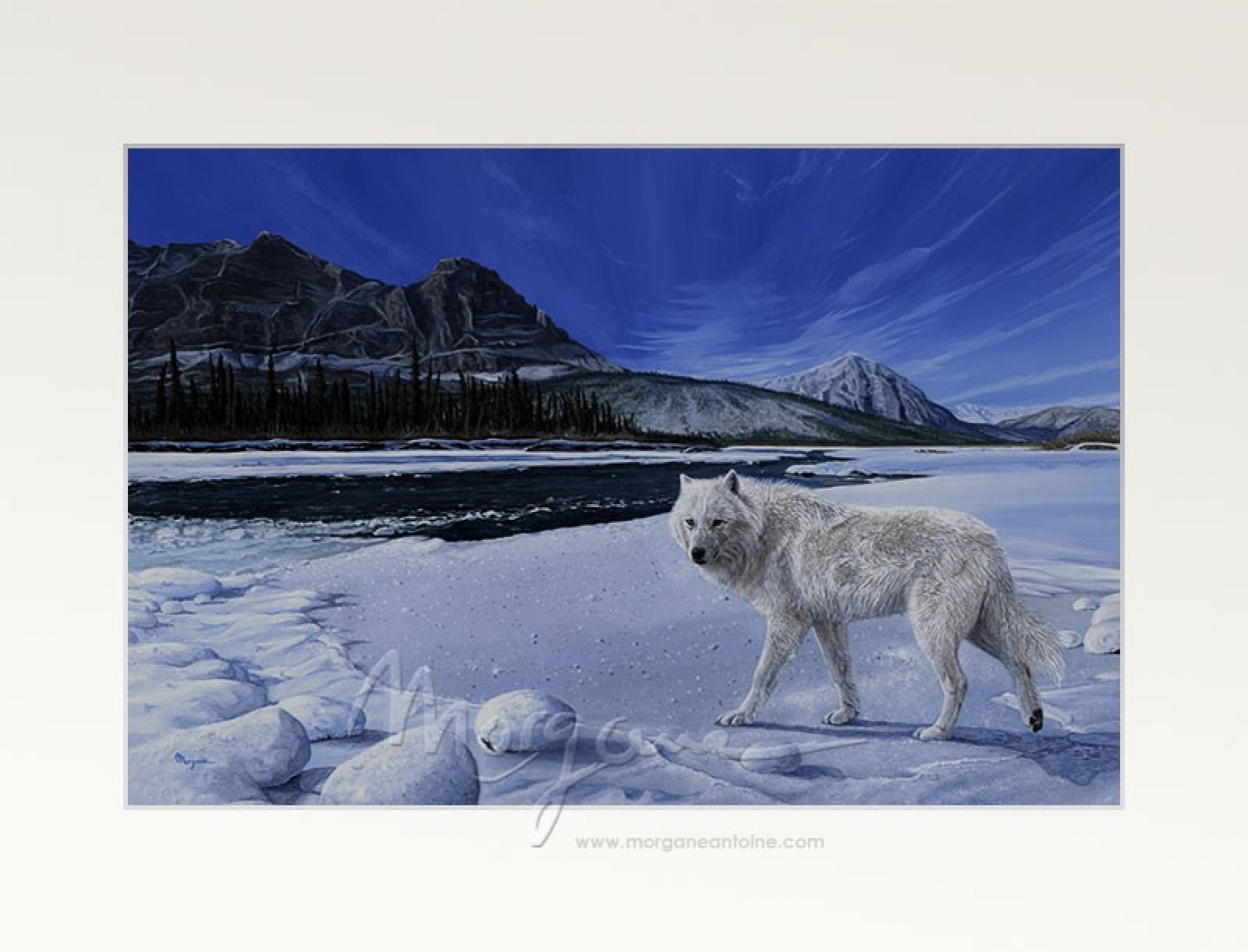 Morning Patrol Open Edition