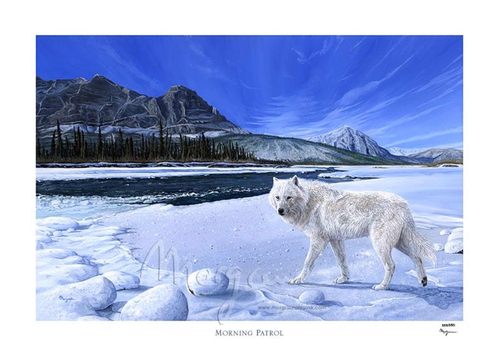 Morning Patrol Limited Edition