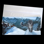 Over the Edge Postcard