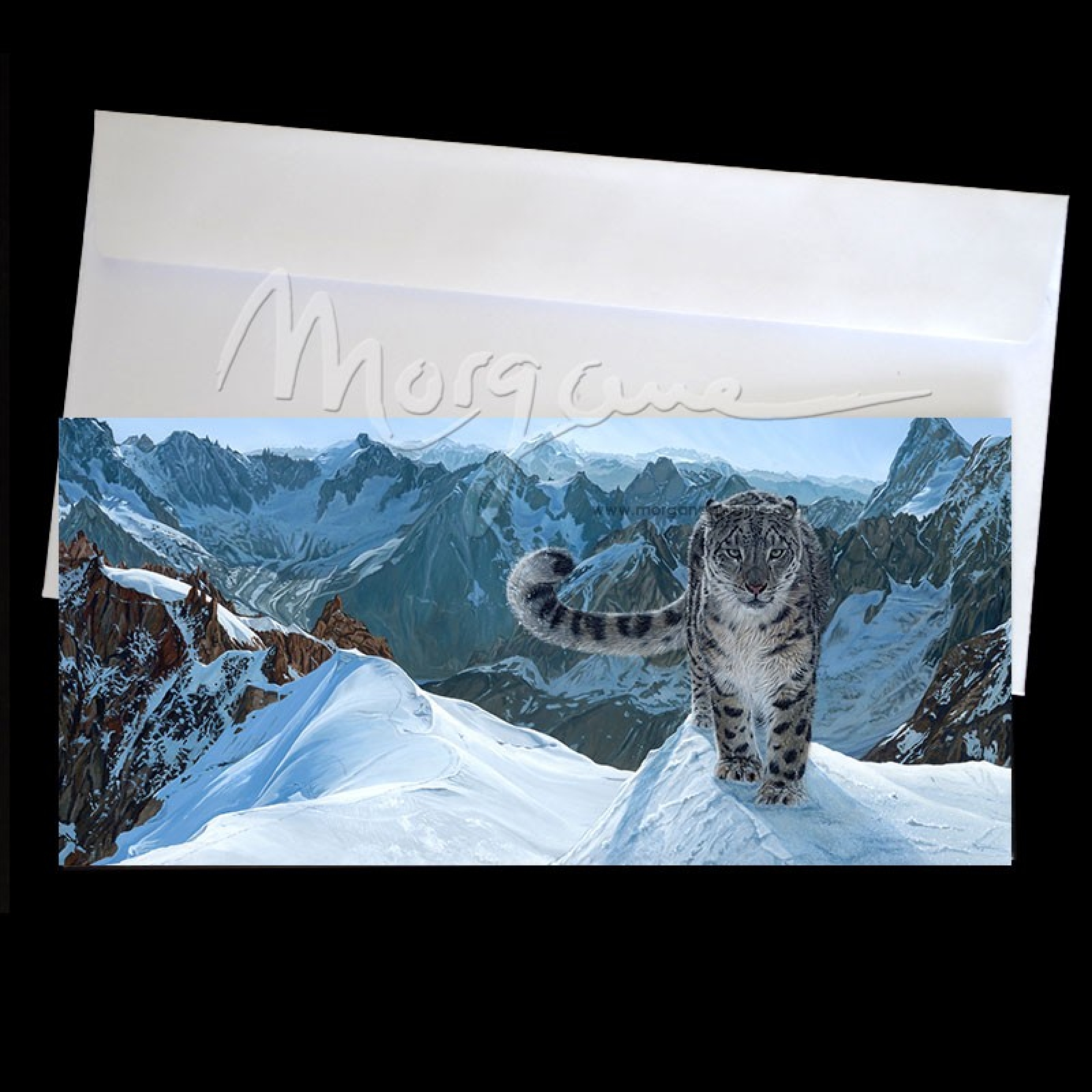 Over the Edge Postcard
