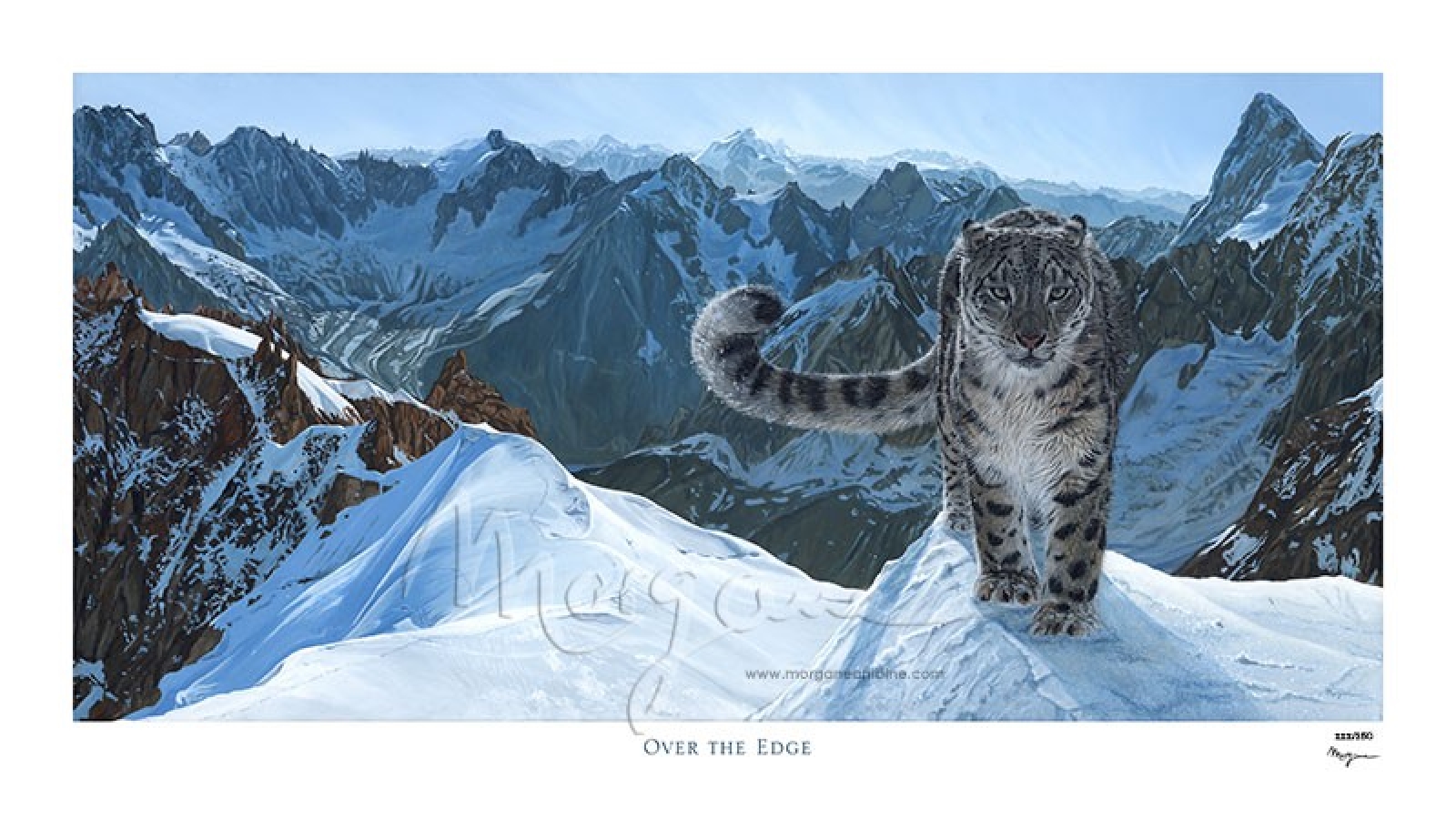 Over the Edge Limited Edition