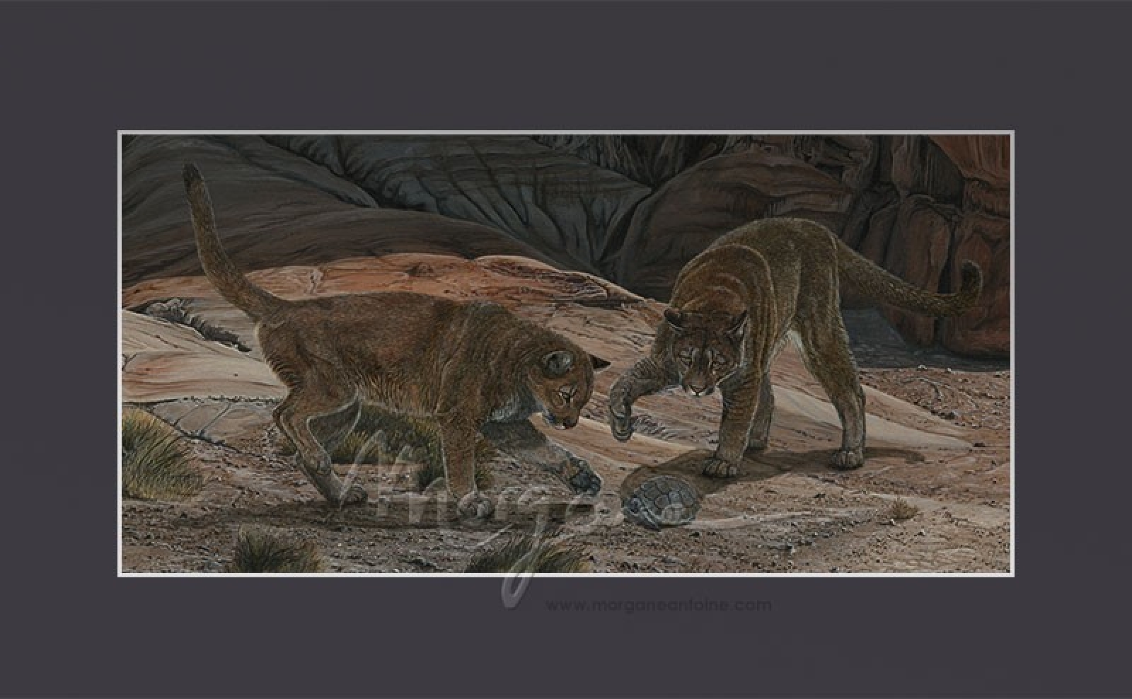 Playtime Open Edition