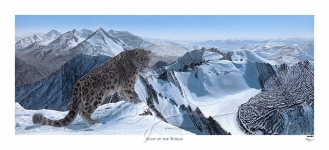 Roof of the World Limited Edition