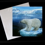 Shake Shake Shake Postcard