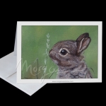 So Cute Greeting Card