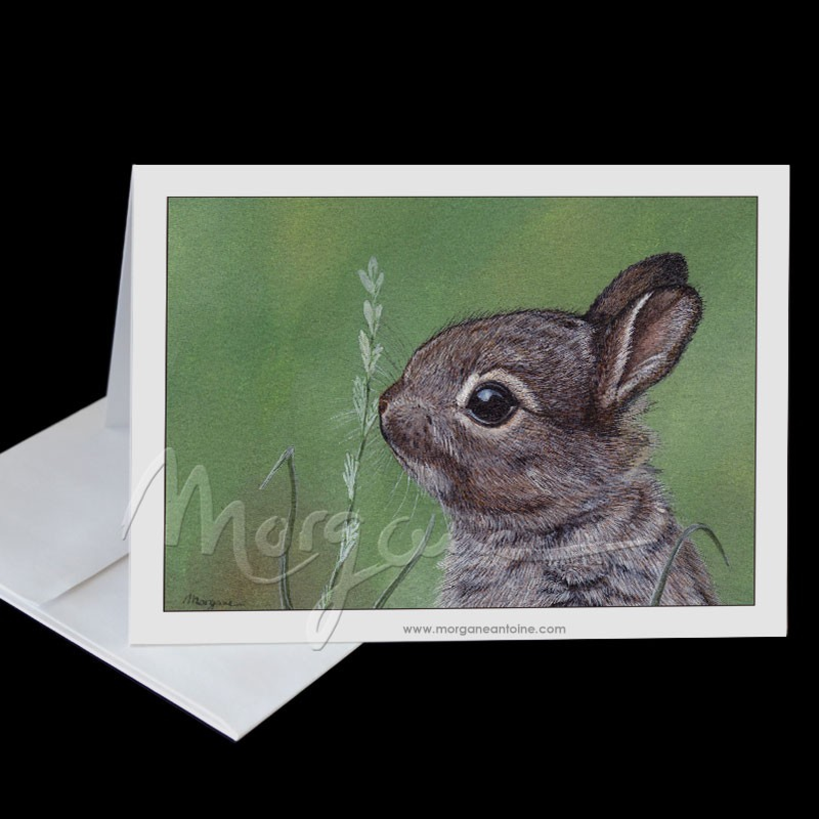 So Cute Greeting Card