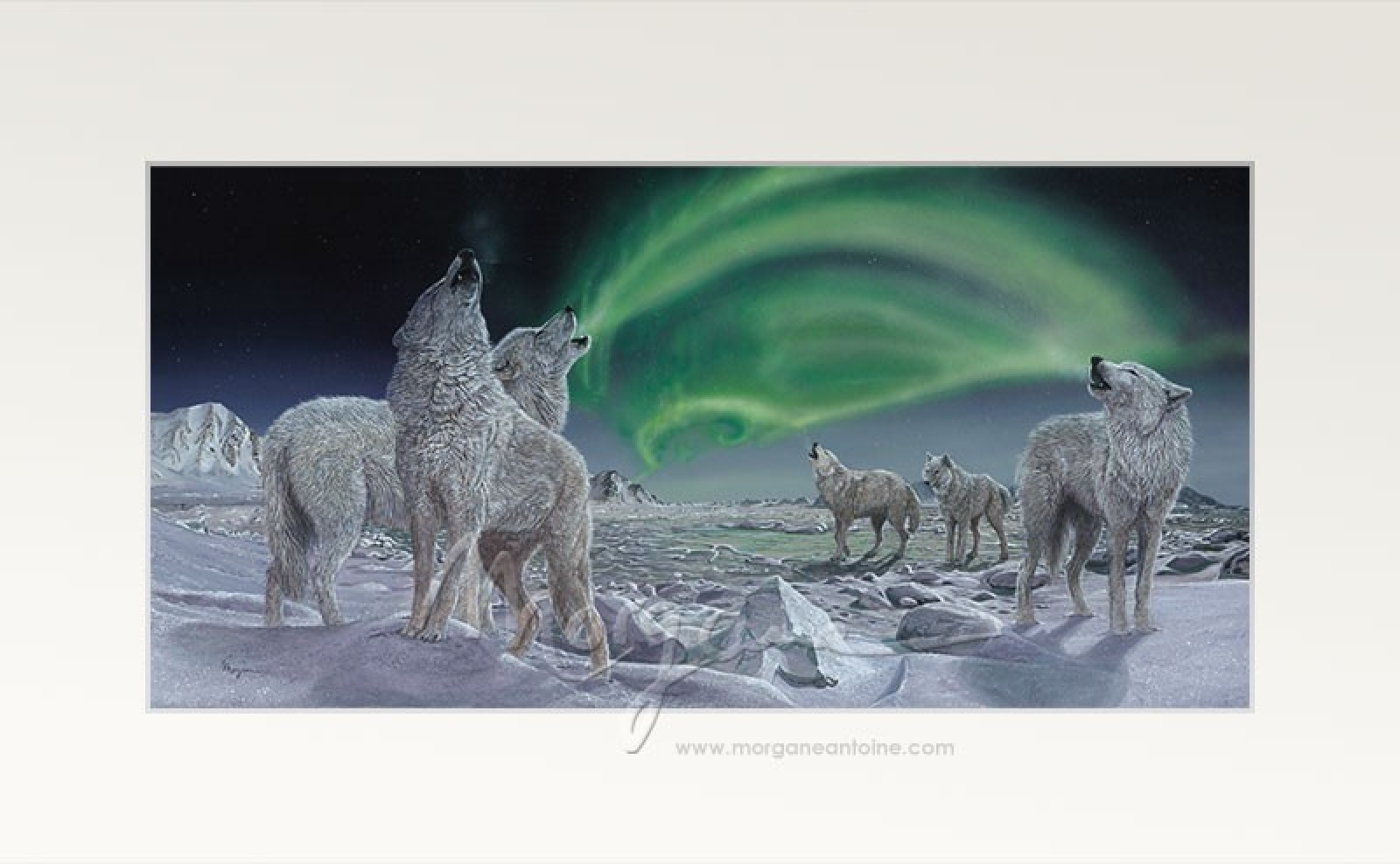 Song of Ice Open Edition