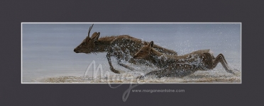 Splashing Through Open Edition