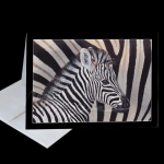 Stripes Greeting Card