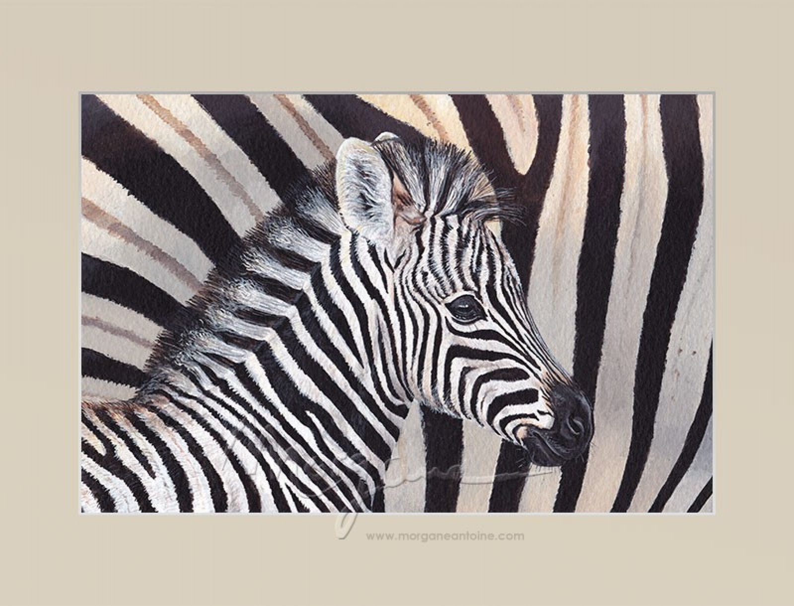 Stripes Open Edition