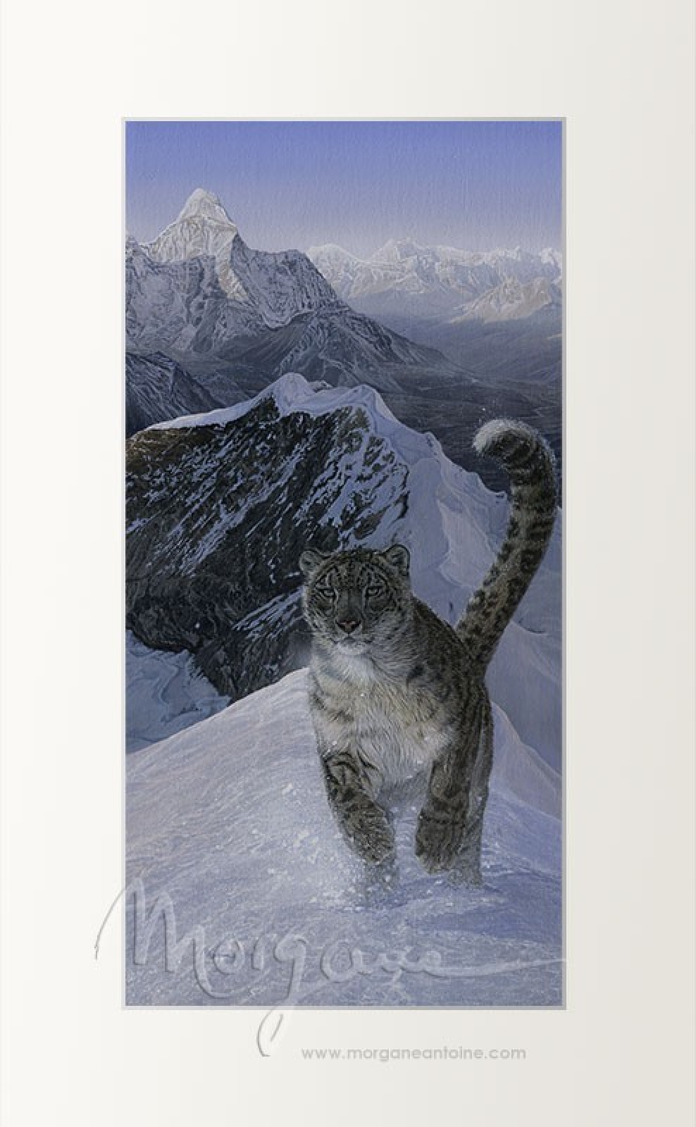 The Climb Open Edition