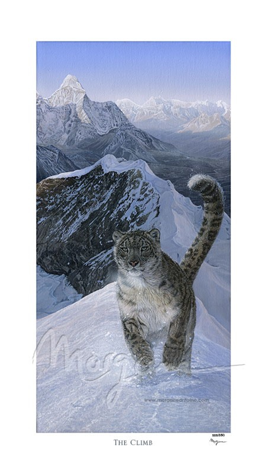 The Climb Limited Edition