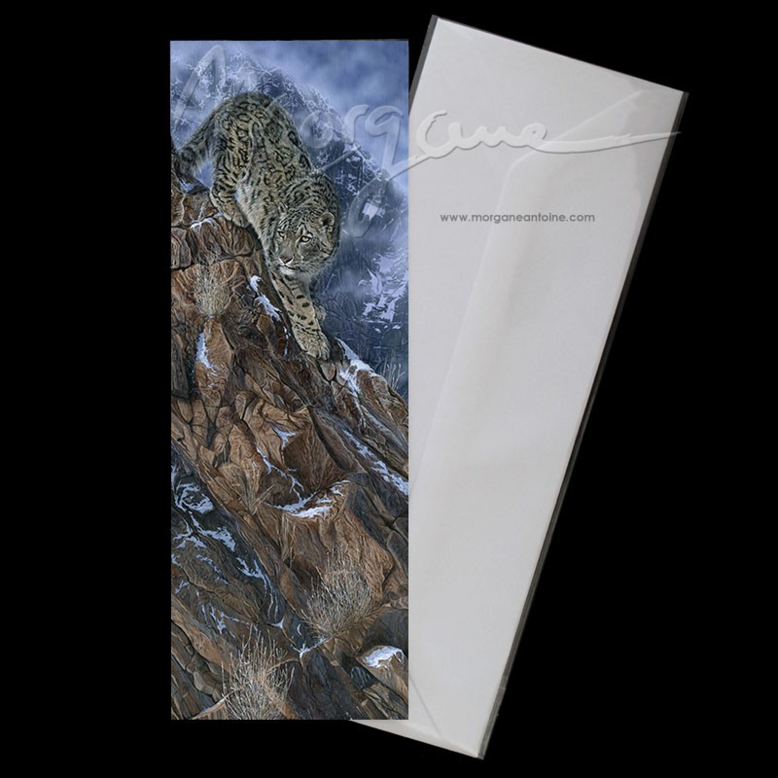 The Mountaineer Postcard