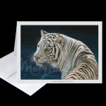 White Beauty Greeting Card