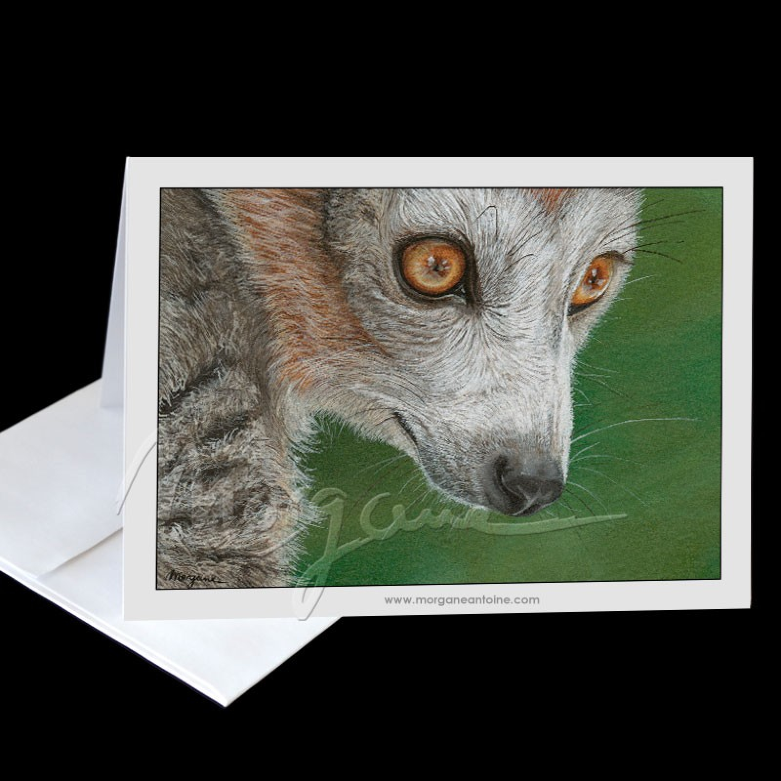 Wild Eyes Lemur Carte de Voeux