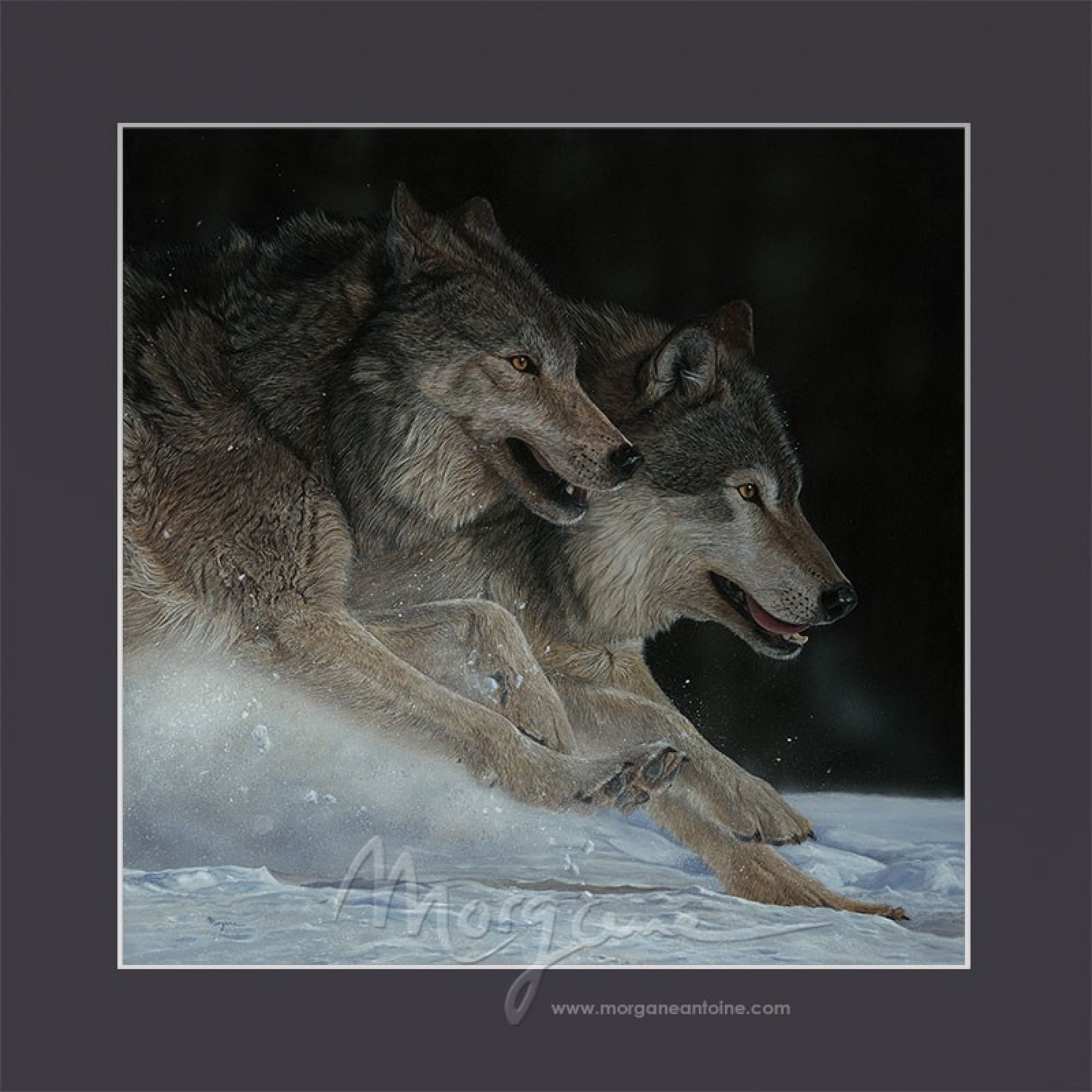 Winter Joy Open Edition