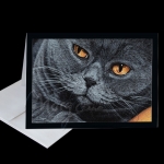 British Charmer Greeting Card