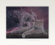 Lilac Beauty Open Edition