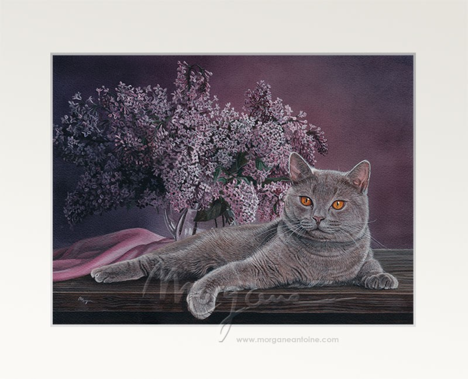 Lilac Beauty Open Edition