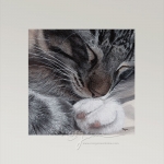 Sweet Dreams Open Edition