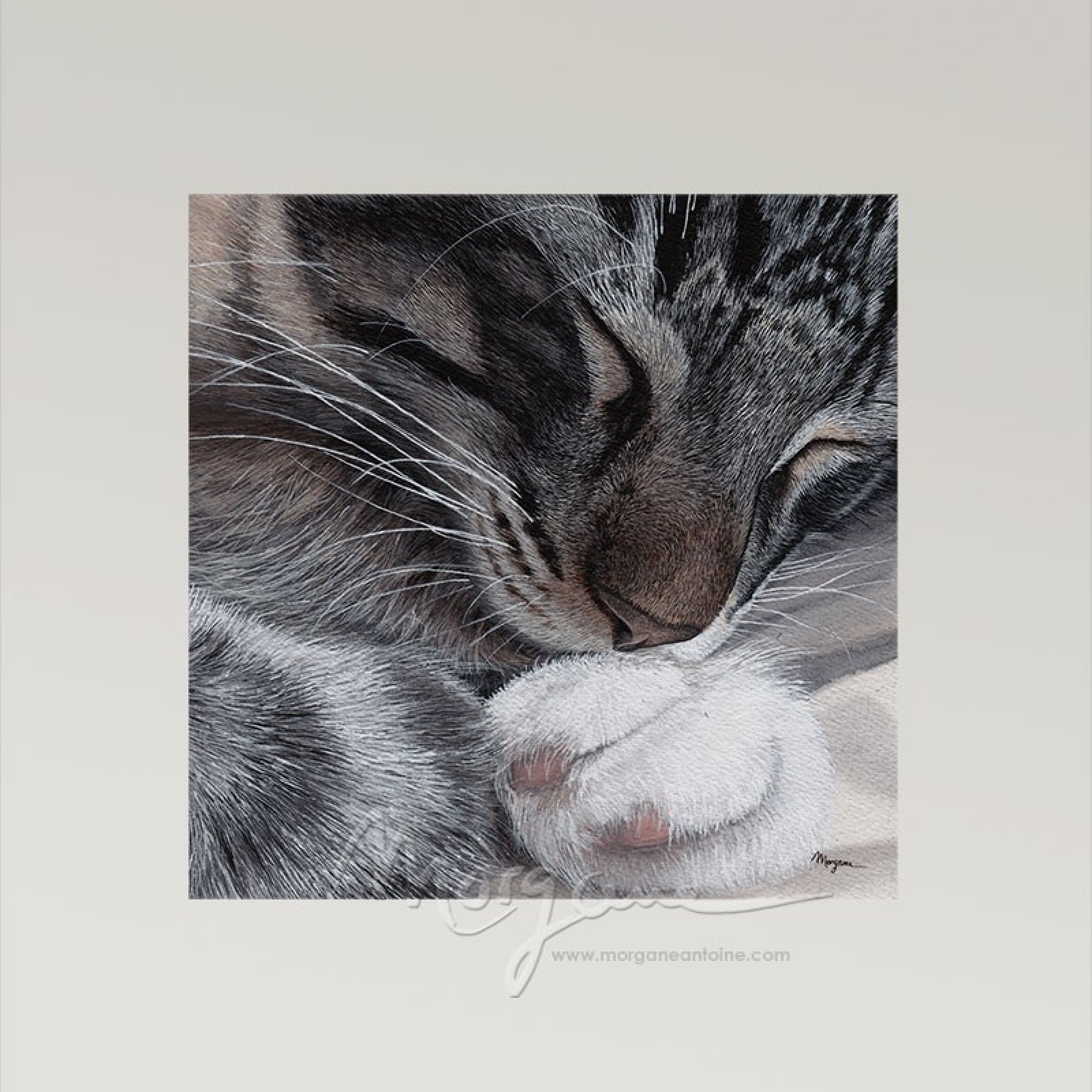 Sweet Dreams Open Edition