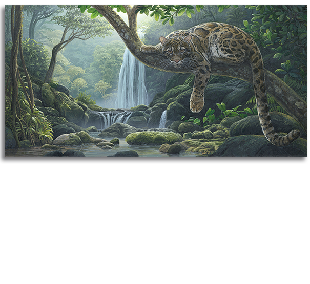 Reference painting for springboks commission