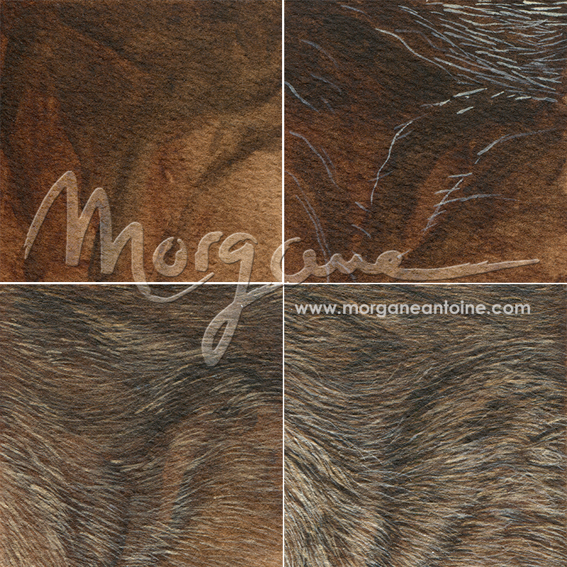 Painting fur in acrylic with Morgane